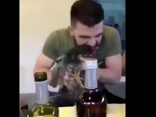 Откусил голову