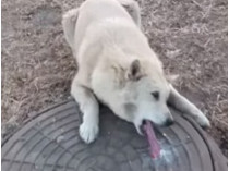 Кадр из видео