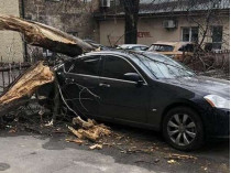 погода